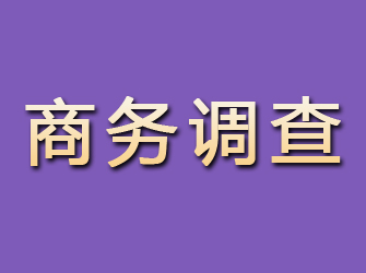 庄浪商务调查